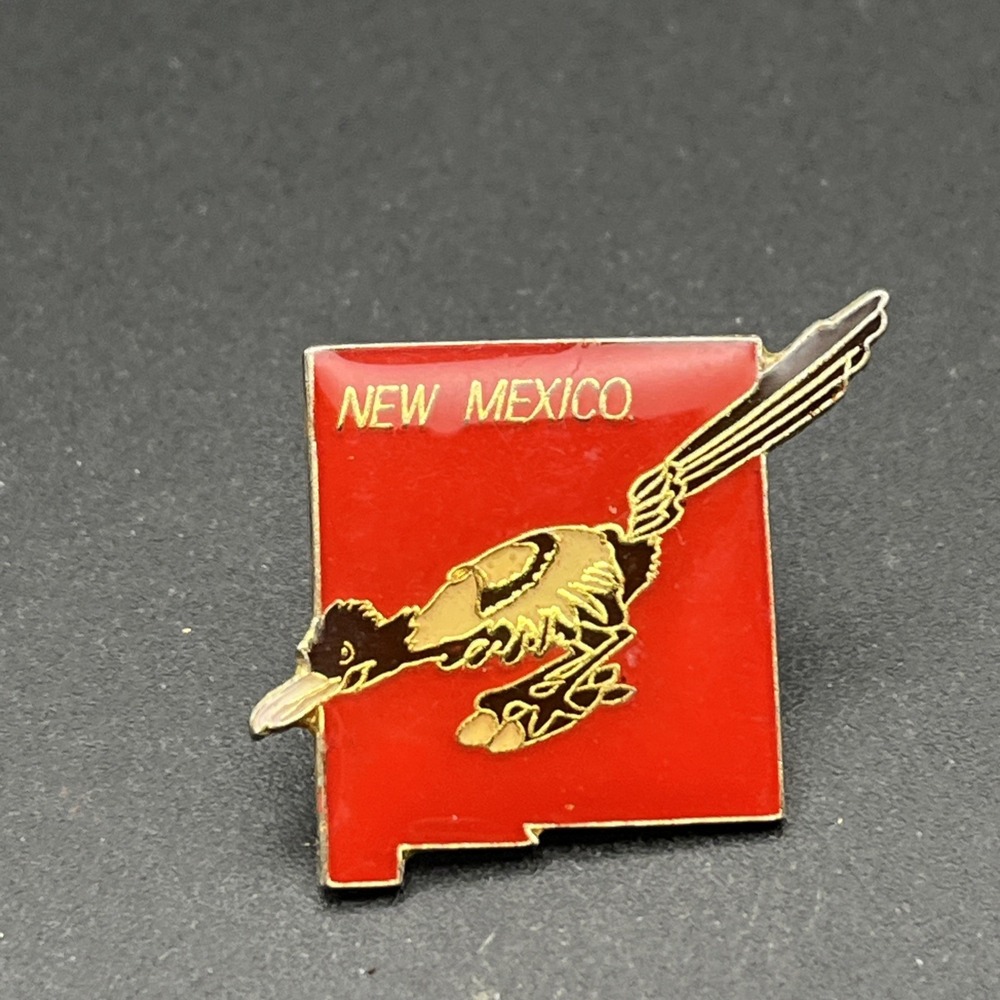 New Mexico State Outline Roadrunner United States Of America Lapel Hat Pin - Picture 1 of 3